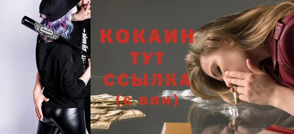 дживик Балахна