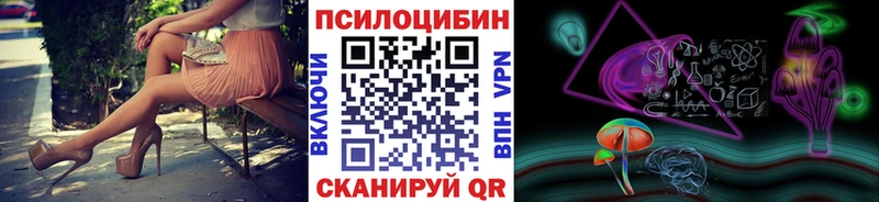 хочу наркоту  Почеп  Псилоцибиновые грибы Psilocybe 